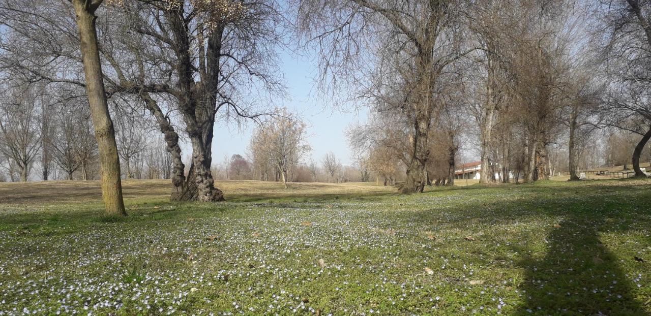 Вилла Casa Nicole 1 Mussolente Экстерьер фото